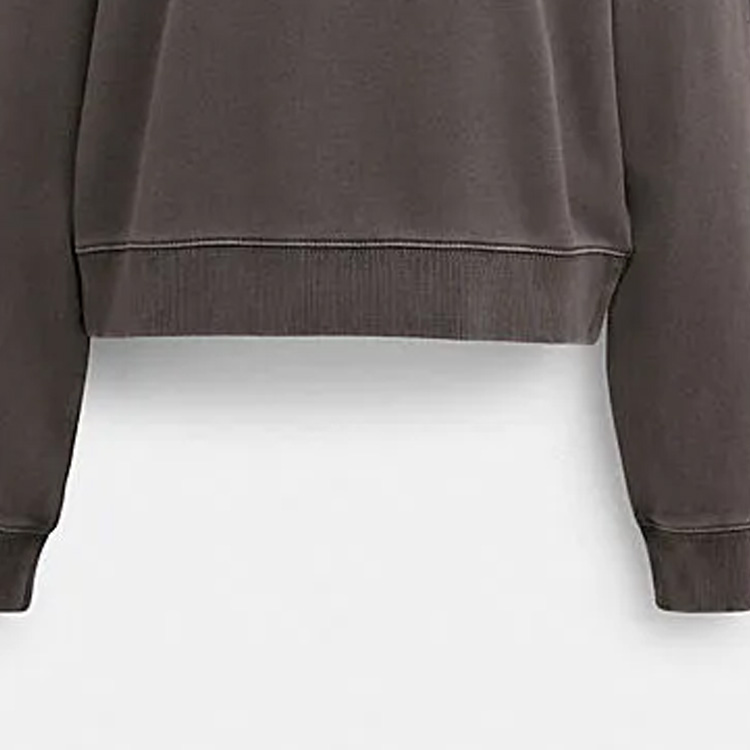 Sizing (W) Coach FW23 灰色印花Logo休閒圓領衛衣 CI853-SMO