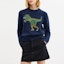 Lookbook (Women) COACH FW25 Animal Print Crewneck Long-Sleeve Sweater. CCN39-B5H