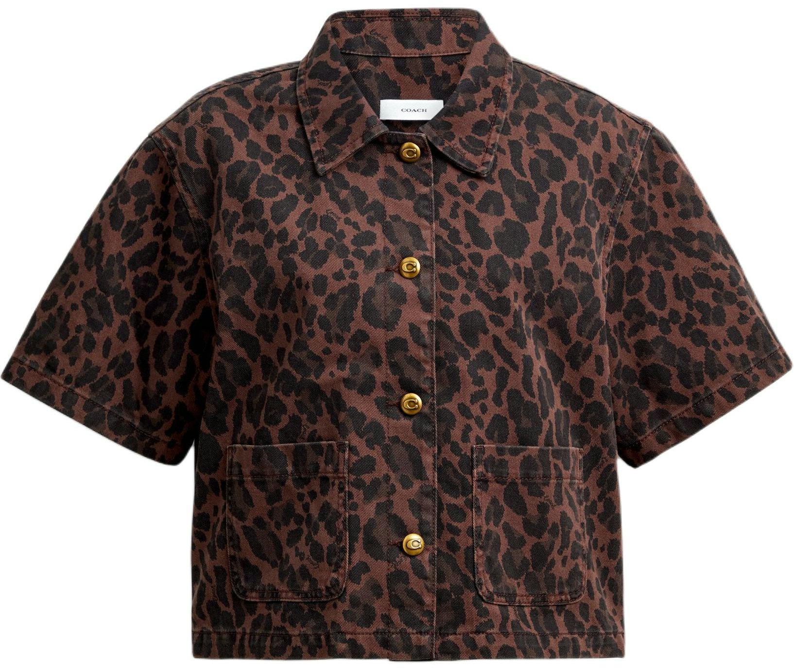 women-coach-fw-25-leopard-print-cotton-short-sleeve-shirt-ccp-80-ygb