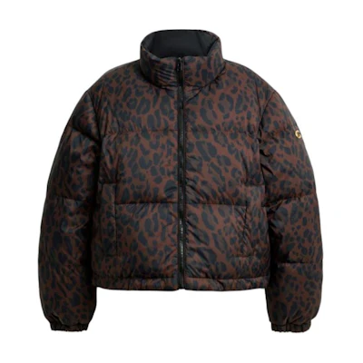 (Women) COACH FW25 Reversible Nylon Leopard Print Down Jacket CCB27-LEO