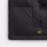 Sizing (W) COACH FW25 可翻轉尼龍豹紋羽絨外套 CCB27-LEO