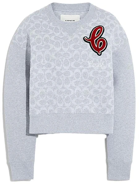 women-coach-grey-graphic-print-pullover-sweater-crewneck-long-sleeve-c6153-slo