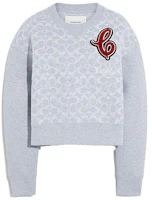 (Women) Coach Grey Graphic Print Pullover Sweater - Crewneck Long Sleeve C6153-SLO (Women) Coach Grey Graphic Print Pullover Sweater - Crewneck Long Sleeve C6153-SLO