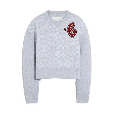 (Women) Coach Grey Graphic Print Pullover Sweater - Crewneck Long Sleeve C6153-SLO