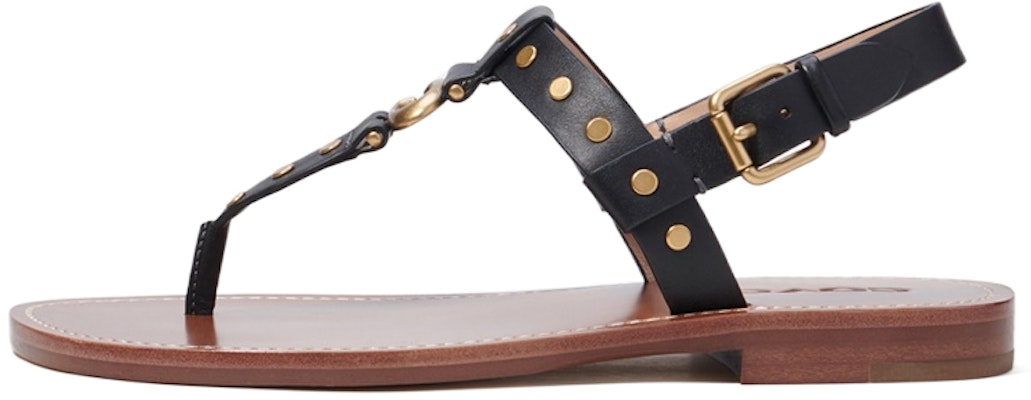 (Women) Coach Hailee 'Brown Buckle Comfort' CI207_BLK Buy (Women) Coach Hailee 'Brown Buckle Comfort' CI207_BLK