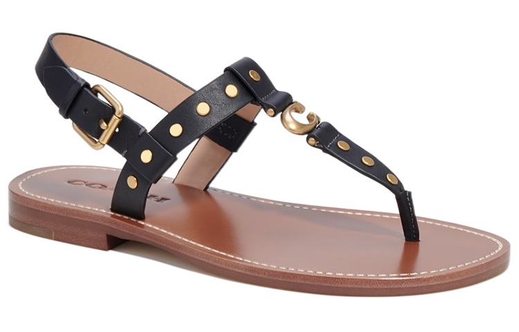 Order (W) コーチ ヘイリー ブラウンバックル (Kōchi Heirī Buraunbakkuru) CI207_BLK