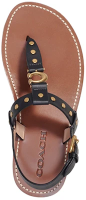 (W) Coach Hailee 'Coklat Buckle Comfort' CI207_BLK Lookbook (W) Coach Hailee 'Coklat Buckle Comfort' CI207_BLK