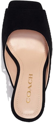 (Women) Coach Leather Comfort Open-Toe Slide 'Black' CI228_BLK Lookbook (Women) Coach Leather Comfort Open-Toe Slide 'Black' CI228_BLK