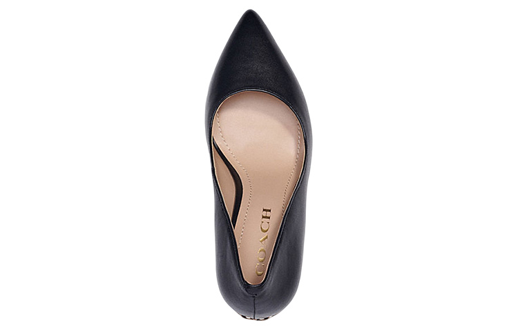 Shop (Women) Coach Leather Pointed-Toe Stiletto High Heels '9cm Black' CC558_BLK