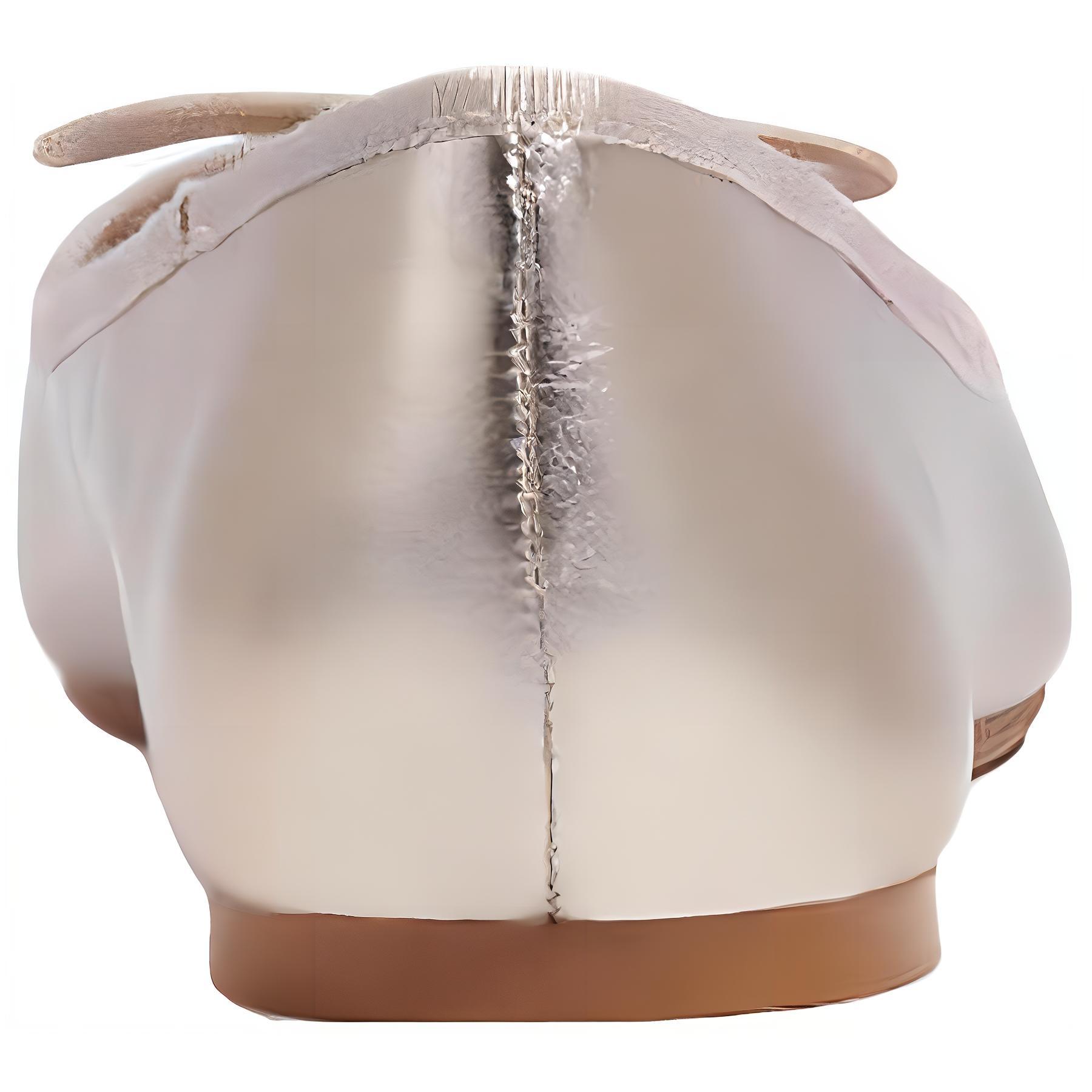 Shop (W) Coach Kulit Jari Bulat Slip-On Datar 'Champagne Comfort' CD315_CHP