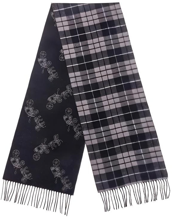 women-coach-reversible-carriage-plaid-print-wool-scarf-accessories-series-4624-blk