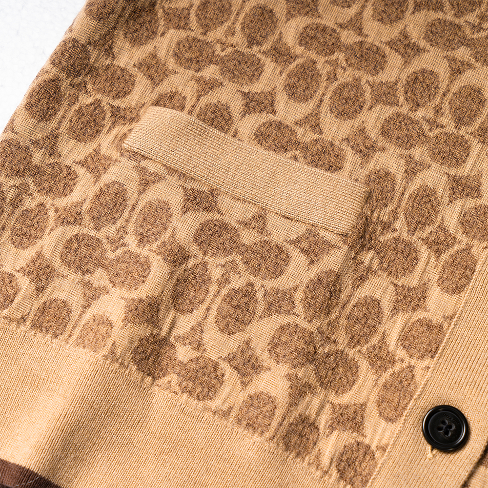 Purchase (Women) COACH SS23 All-Over Print Knit Long Sleeve Sweater Brown (). CG786-RYU