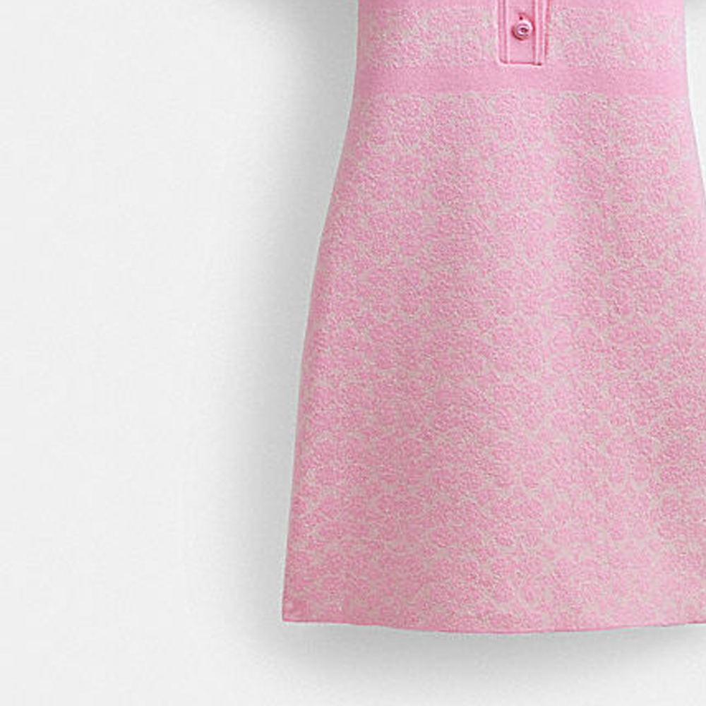 Sizing (W) COACH SS24 粉色花卉刺繡短袖襯衫連衣裙 CS693-VQ4