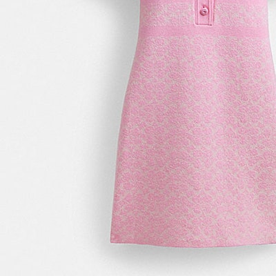 (W) COACH SS24 粉色花卉刺繡短袖襯衫連衣裙 CS693-VQ4 Sizing (W) COACH SS24 粉色花卉刺繡短袖襯衫連衣裙 CS693-VQ4