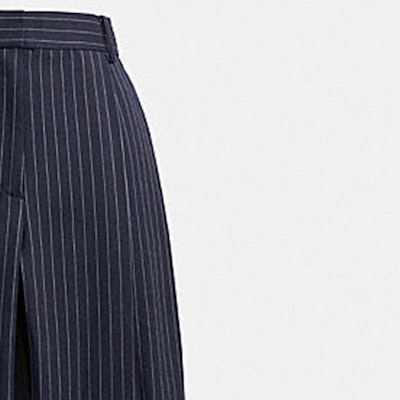 (W) コーチ SS24 ストライプ プリーツ ワイドレッグパンツ ネイビーブルー CN484-NVWT Purchase (W) コーチ SS24 ストライプ プリーツ ワイドレッグパンツ ネイビーブルー CN484-NVWT