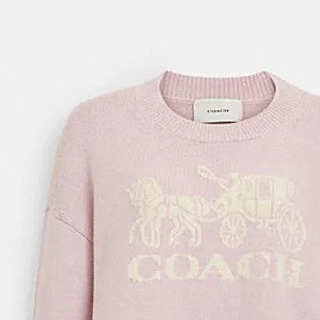 Purchase (W) 코치 SS24 핑크 로고 레터 패턴 크루넥 스웨터. CP242-PIN