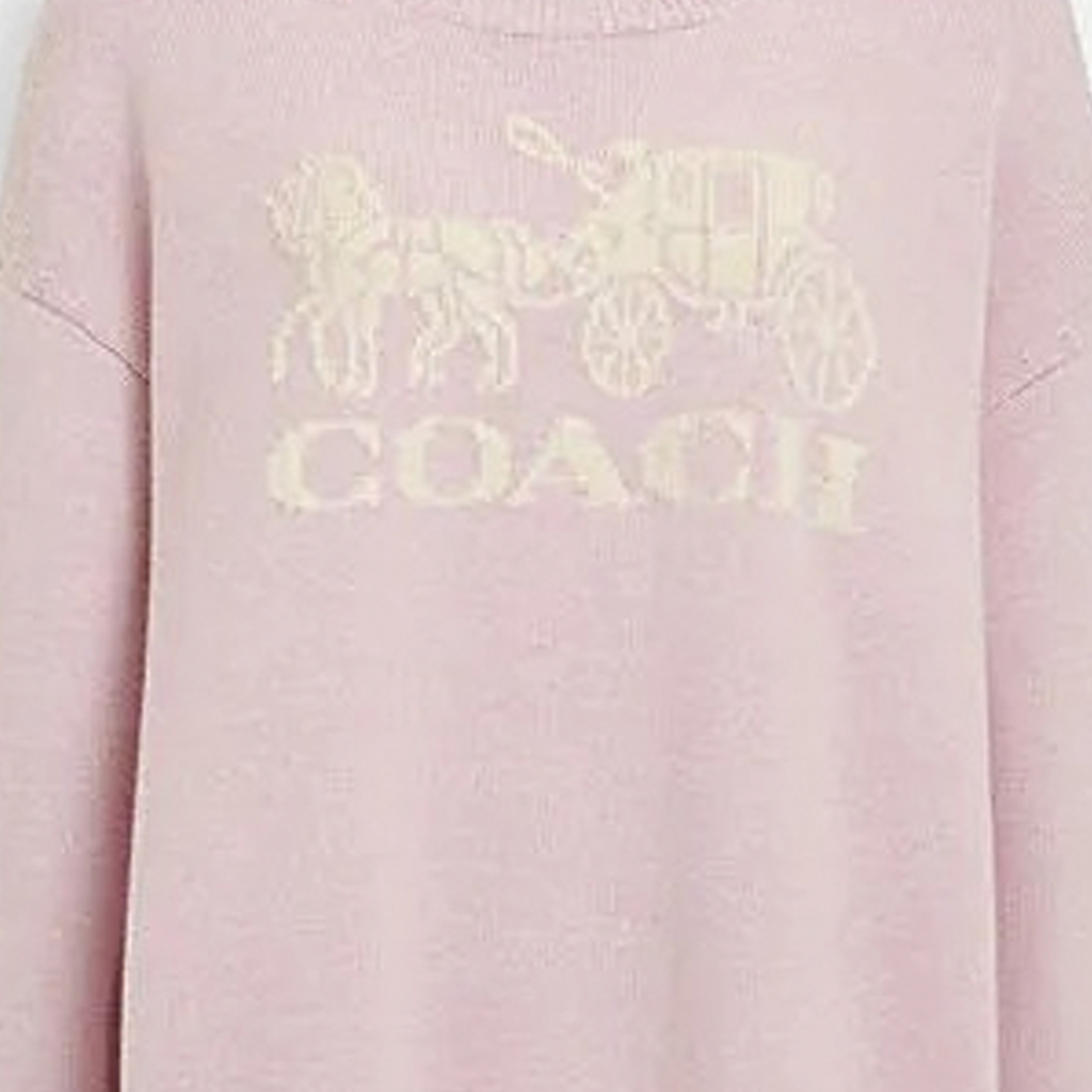 Details for (W) 코치 SS24 핑크 로고 레터 패턴 크루넥 스웨터. CP242-PIN