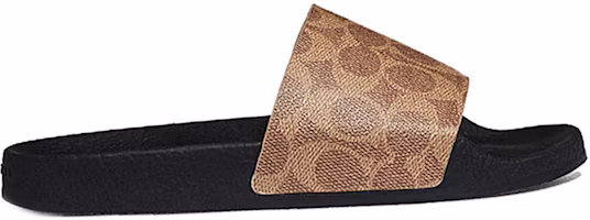 Order (Women) Coach Udele Slide 'Versatile Casual Brown' G3759_TN2