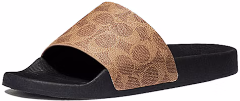 Lookbook (Women) Coach Udele Slide 'Versatile Casual Brown' G3759_TN2