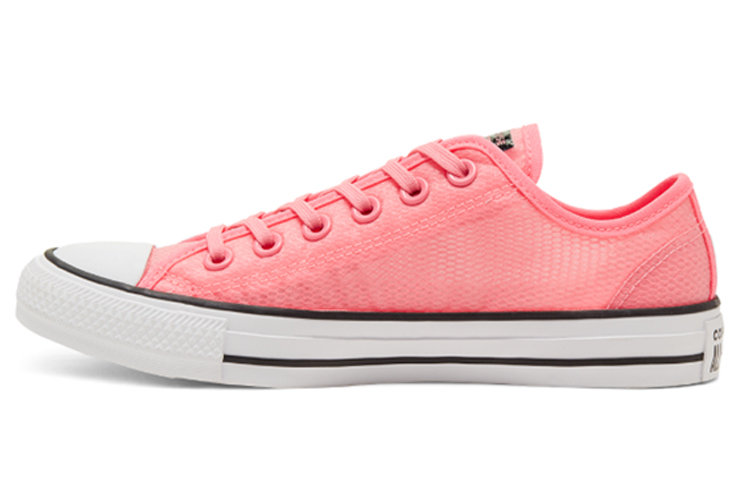 Buy (W) 匡威Chuck Taylor All Star低帮'Concrete Heat - Electric Blush'粉色板鞋 567660C
