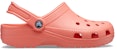 (W) Crocs Classic Clog 'Pantai Jingga' 10001-6SL