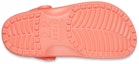 Sizing (W) Crocs Classic Clog 'Pantai Jingga' 10001-6SL
