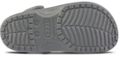 Purchase Crocs Classic Clog 金銀色光澤女款 洞洞鞋