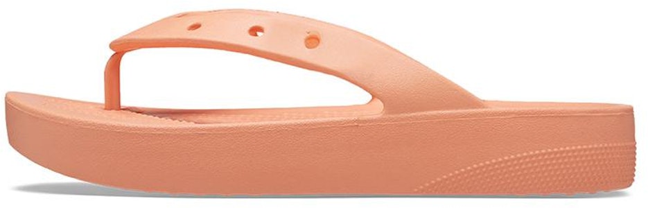 Crocs卡駱馳 經典雲朵人字拖鞋 女款 木瓜紅 Buy Crocs卡駱馳 經典雲朵人字拖鞋 女款 木瓜紅