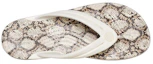 Shop (Women) Crocs Leopard print Printing Flip-Flops Shoe 206490-13T