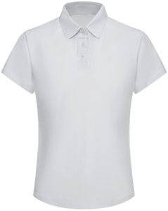 (W) デサント DUALIS 軽量ソフトポロシャツ 都市通勤用 D4232DPS84 4