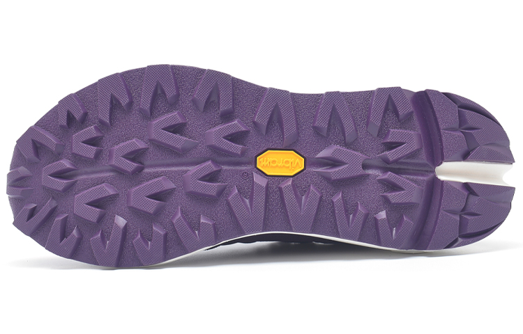 (W) DESCENTE Paul Smith Dualis 'Purple Culture RNNR' 圖 4