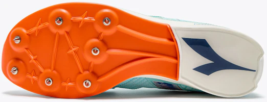Details for (W) Diadora Lungo Carbon Donna 101.181856_D1243