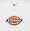 Lookbook (Women) Dickies Slim Fit Tree Logo T-Shirt White DIKW261LRTS001WH