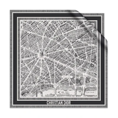 (Women) DIOR Elegant Twill Silk Scarf - Gray 32PAR090I600C080