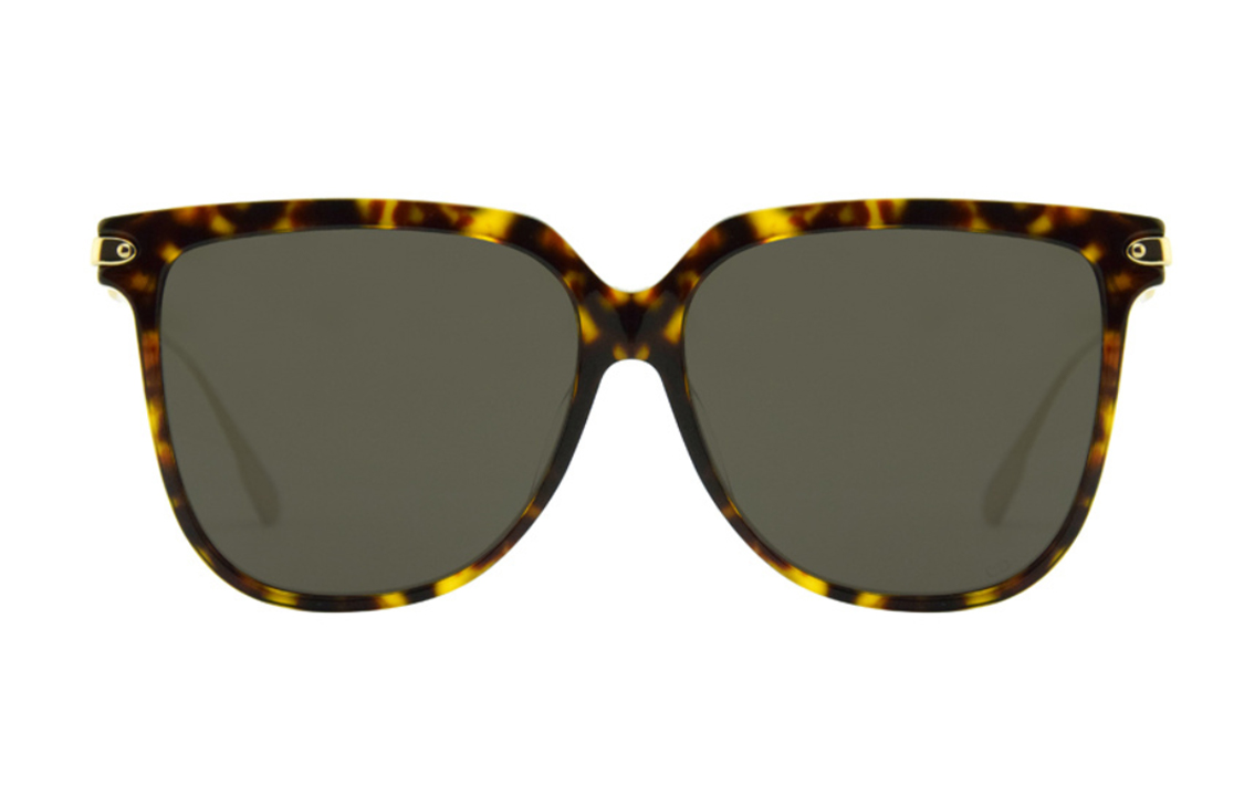 Lookbook (W) 迪奥时尚潮流不规则豹纹眼镜框. DIORLINK3F-08670