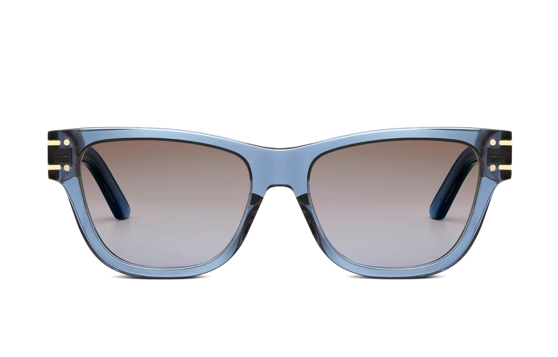 Lookbook (W) ディオール イレギュラーブルー アセテート サングラス ロゴテンプルデザイン付き NSGTS6UXR30F2