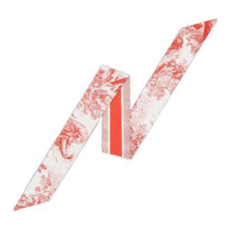 (Women) DIOR  Silk Scarf with Printed Design in Orange. 15JOU106I602C315 圖 2