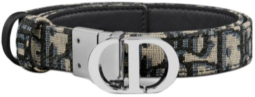 (W) DIOR スムースバックル ロゴベルト マルチカラー 2CM B0446PWEO Lookbook (W) DIOR スムースバックル ロゴベルト マルチカラー 2CM B0446PWEO