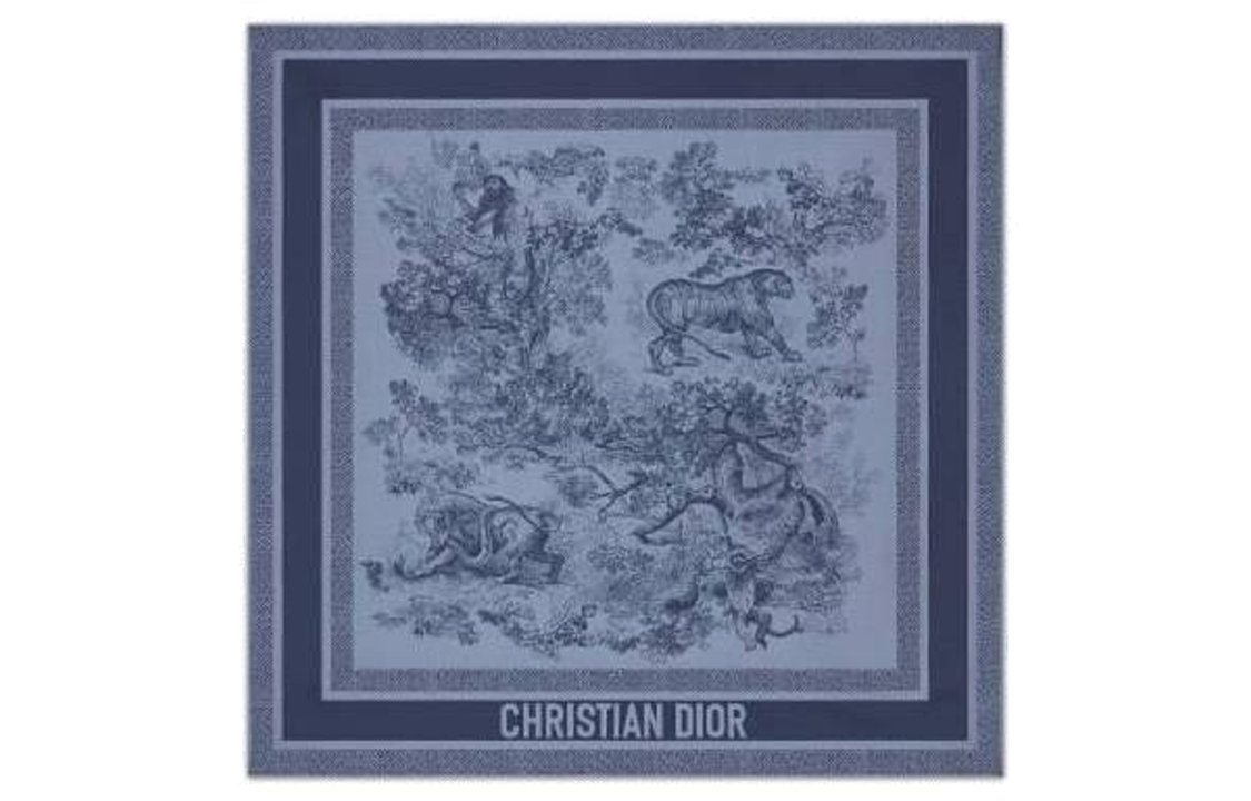 (Women) DIOR  Soft Printed Silk Scarf Blue 21JOU070I602C525