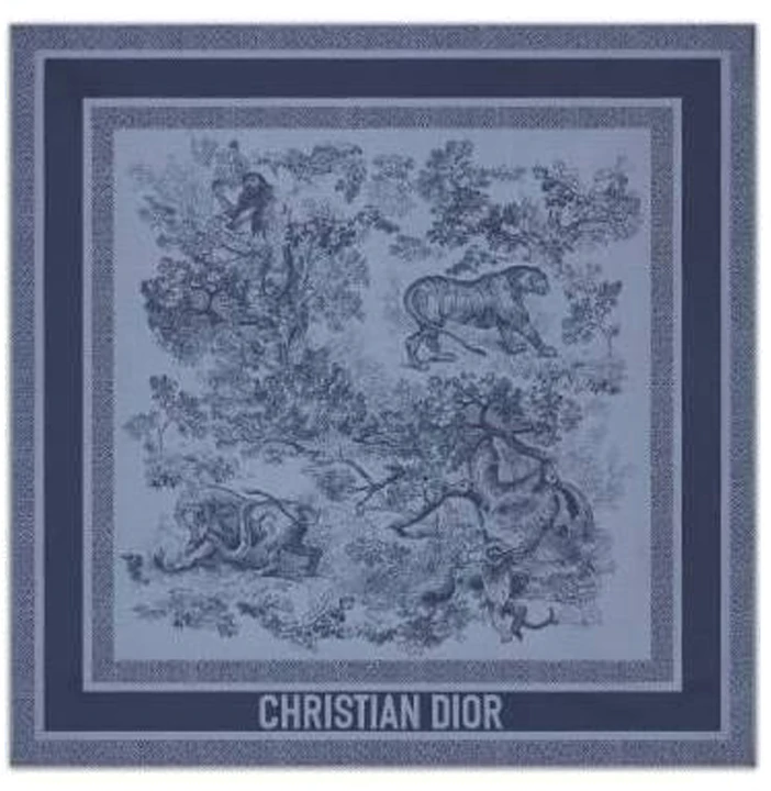 women-dior-soft-printed-silk-scarf-blue-21-jou-070-i602-c525