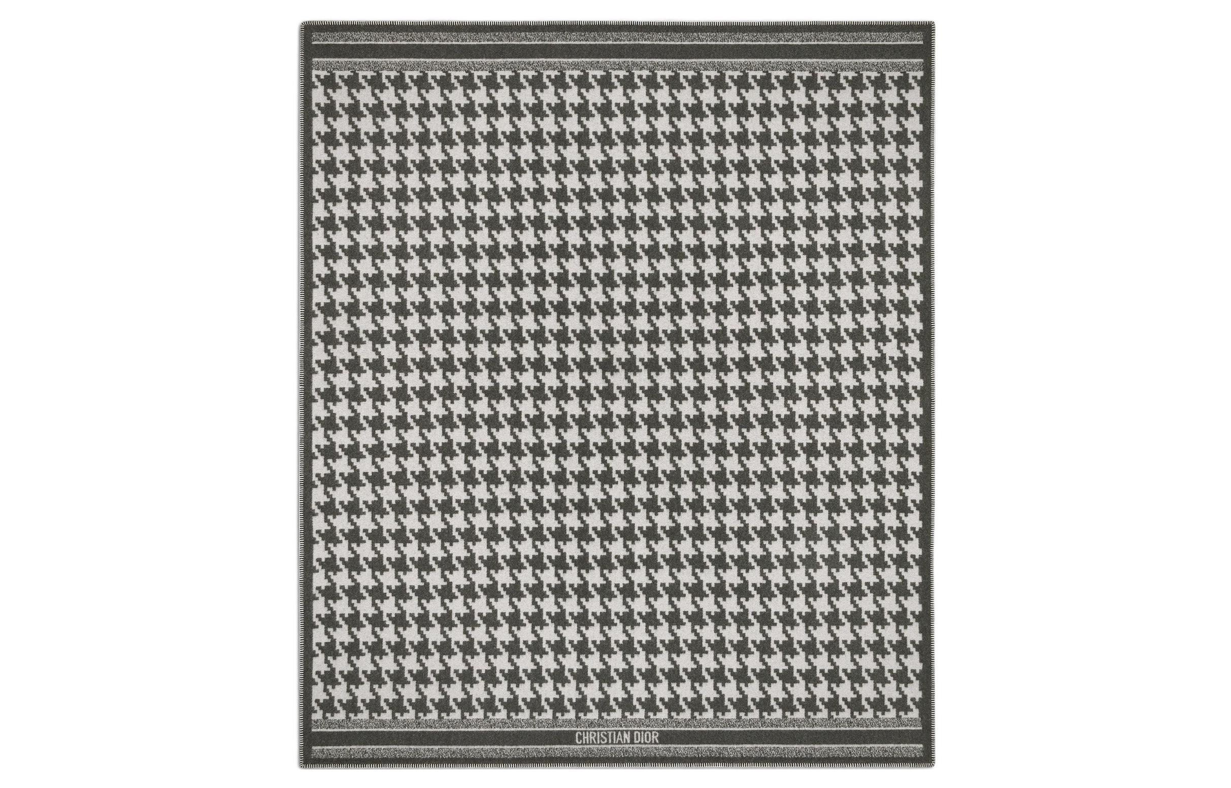 Lookbook (Women) DIOR  Stylish Comfortable Shawl with Iconic Stripe Pattern. 21PDP350I001_C888