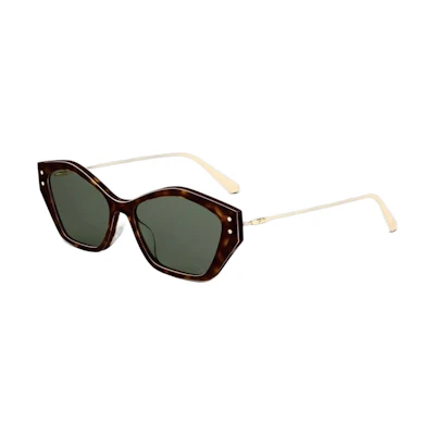 (Women) Dior Sunglasses Irregular Shape Brown Frame with Metal Accents. MISDS1UXR22C0