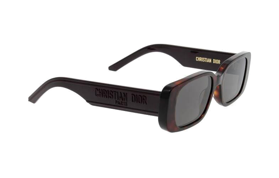 Lookbook (W) DIOR 龟壳纹方形太阳镜带标志性镜腿设计 WILDIORS2U24A0