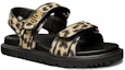 Lookbook (W) Sandal Fesyen Dior Act Hitam 'Cetakan Leopard Velcro' KCQ549LNY_S29X