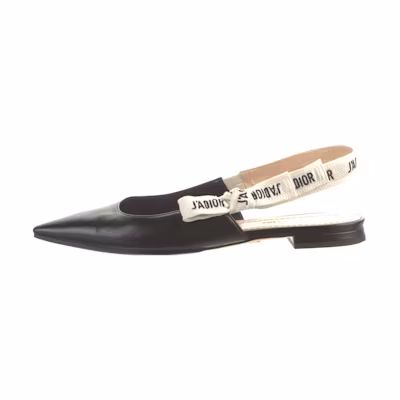 (W) Dior B23 Low 'Oblique'