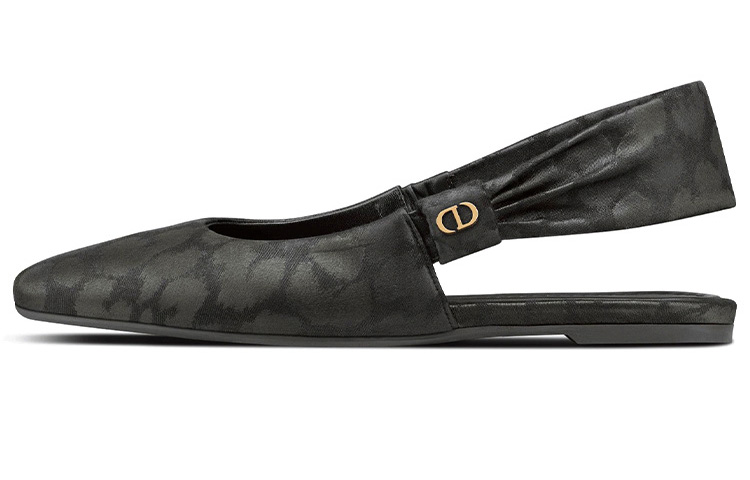(W) Dior Ballet Flats 'Mizza Elegance'