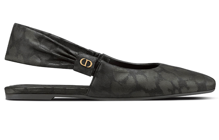 (W) Dior Ballet Flats 'Mizza Elegance' 圖 2
