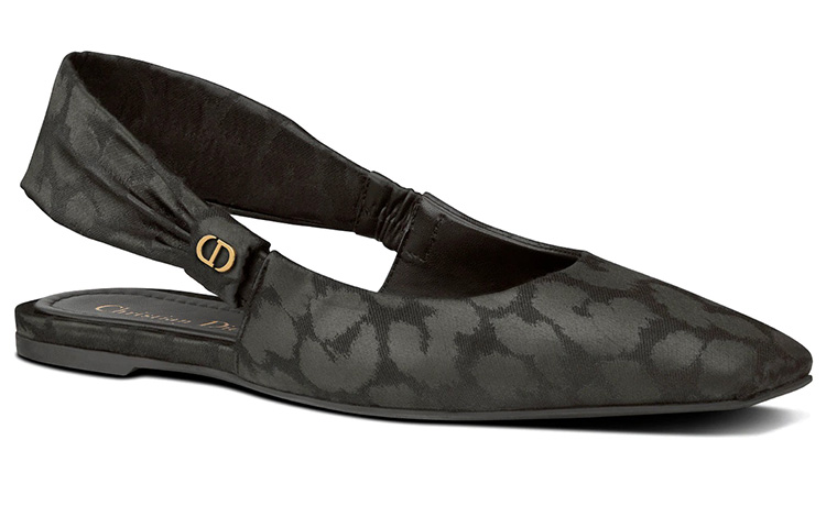 (W) Dior Ballet Flats 'Mizza Elegance' 圖 3