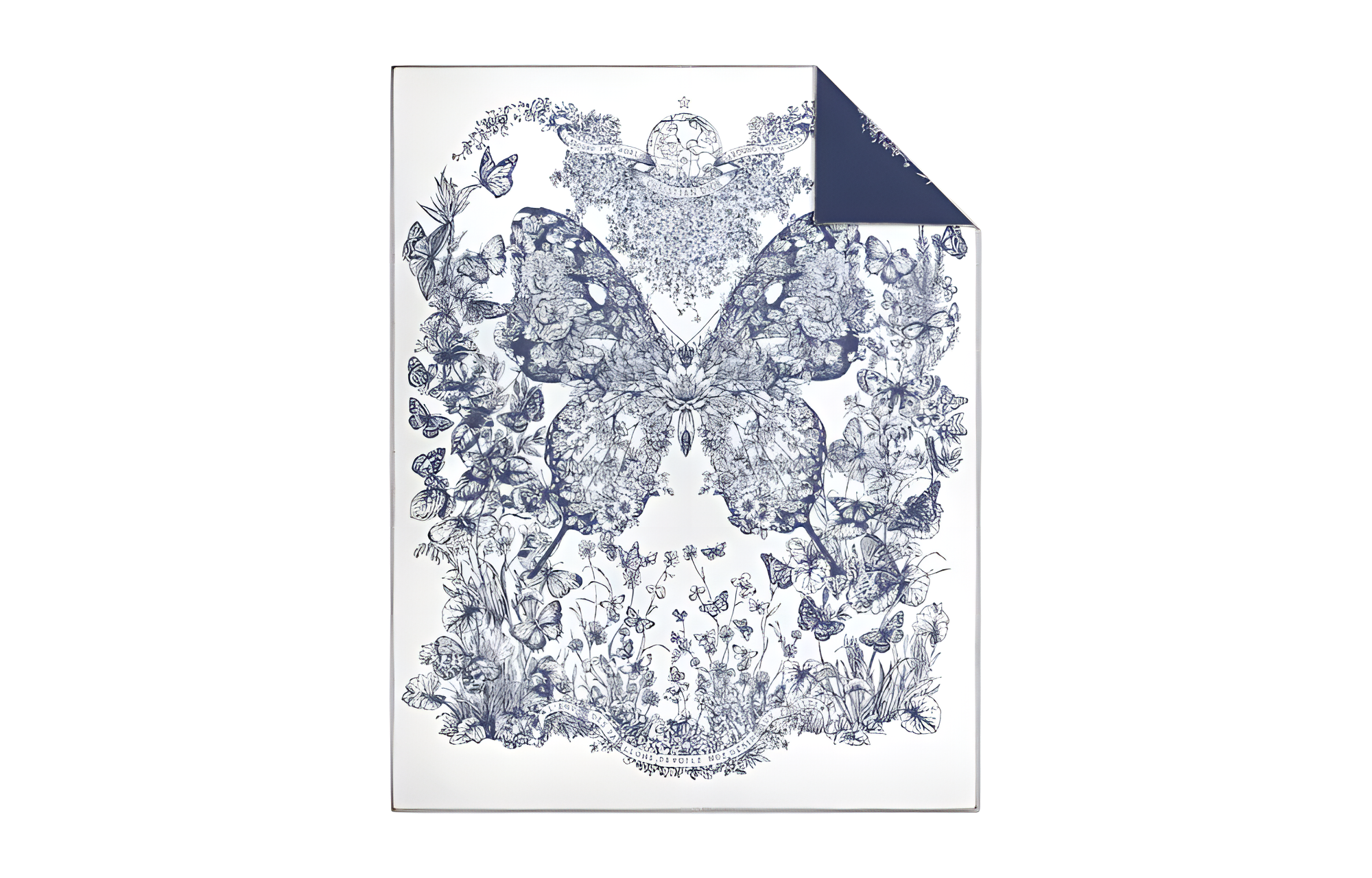 (Women) DIOR Blue Butterfly Print Shawl for Women. 41PAP350I022C530