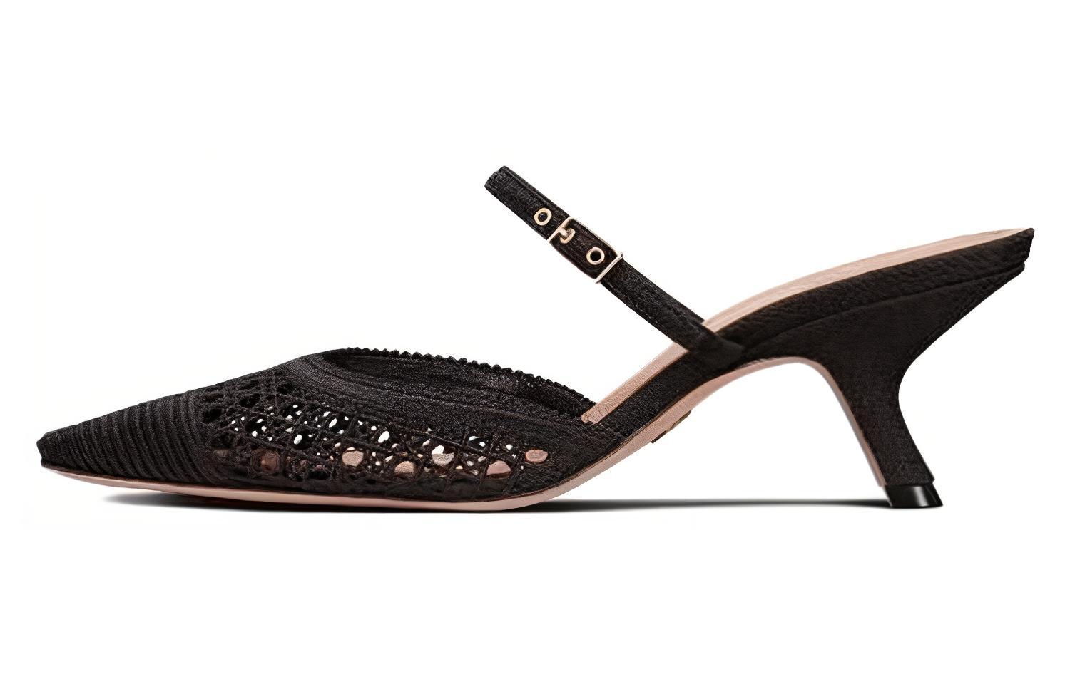 (Women) Dior Capture Black 'Pointed Toe Stiletto Mules' KDP927RCE_S900
